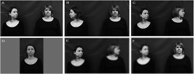 Combined Effects of Gaze and Orientation of Faces on Person Judgments in Social Situations